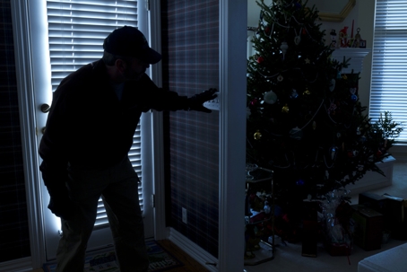 Burglar enters home with Christmas tree during the holidays